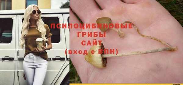 СК Михайлов