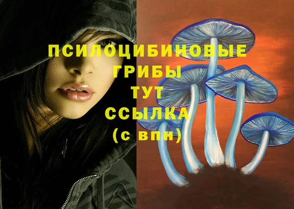 СК Михайлов