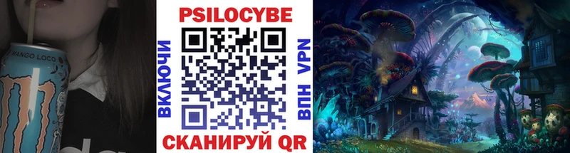 где купить Тимашёвск Псилоцибиновые грибы Cubensis